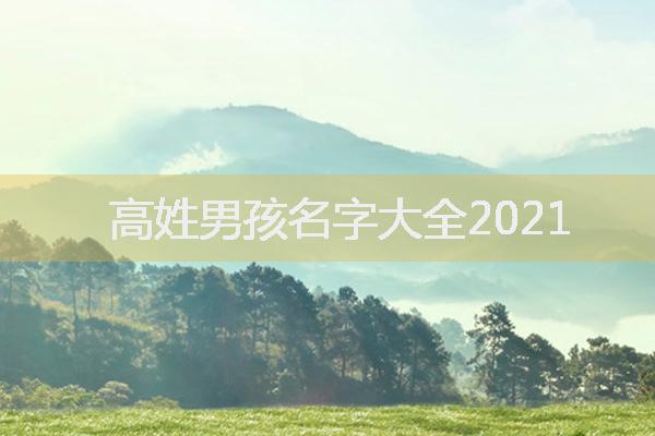 属兔高姓男孩名字大全2021