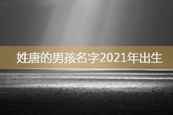 姓唐的男孩名字2021年出生