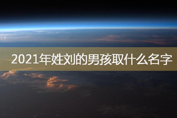 2021年姓刘的男孩取什么名字